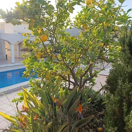 Casa Olivos, With A Pool Alicante