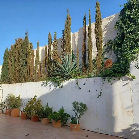 Casa Olivos, With A Pool Villa Alicante