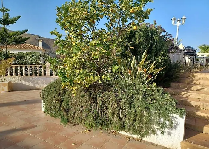 Casa Olivos, With A Pool